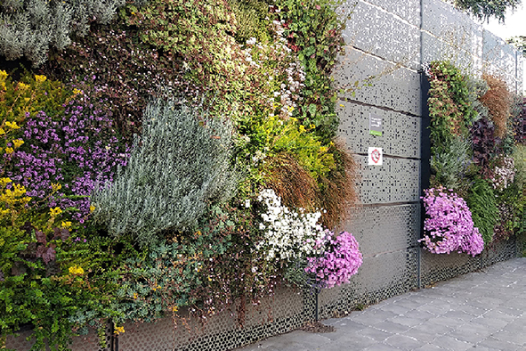 Detail of the green wall of the itdUPM – AGATHÓN 11_2022