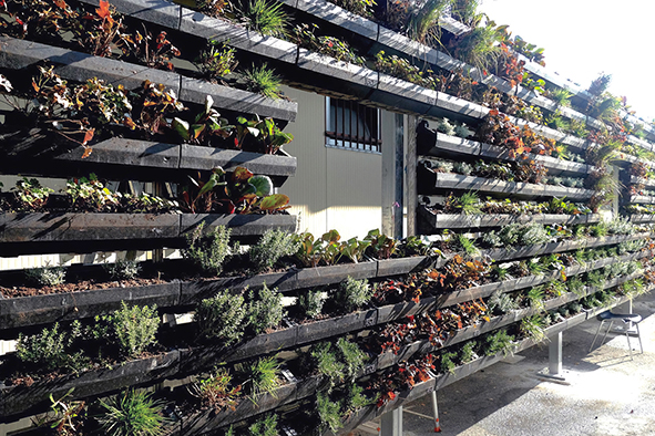 Green wall in Torino – AGATHÓN 11_2022