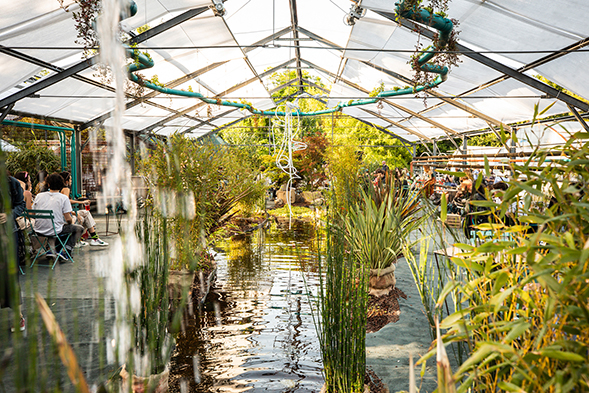 Bio-lake in the Serra Madre (credit: Resilienze Festival, 2021) – AGATHÓn 11_2022