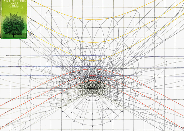 Shadow diagram of a tree assimilated to a sphere, diameter varying from 10 to 20 to 25 metres at solstices and equinoxes, Rome 41° 55’ north latitude (source: Leonardi and Stagi, 1983). AGATHÓN 11 | 2022