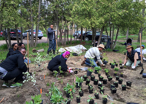 Black Creek Community Farms in Jane and Finch Neighbourhood, Toronto, Canada (source: blackcreekfarm.ca, 2017). AGATHÓN 15 | 2024
