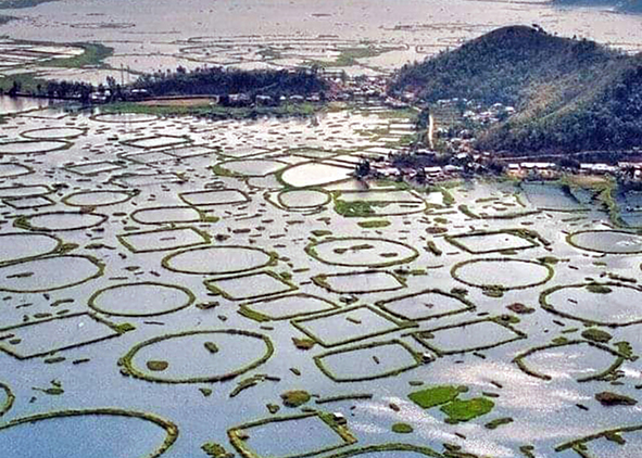 The Athapum Phumdi, Loktak Lake (credit: India Travel Tourism, 2023). AGATHÓN 18 | 2025
