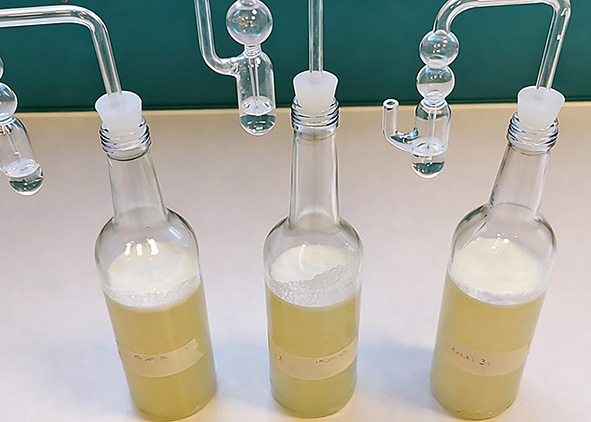 Whey fermentation (credit: Fermentation Labora¬tory, Laimburg Research Centre, 2025).  AGATHÓN 19 | 2026